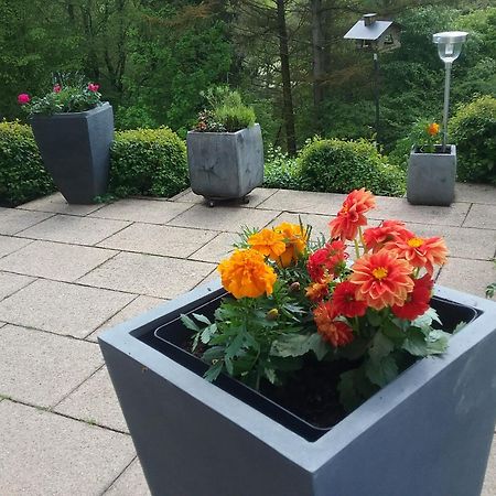 Perlenbachtal Apartamento Monschau Exterior foto