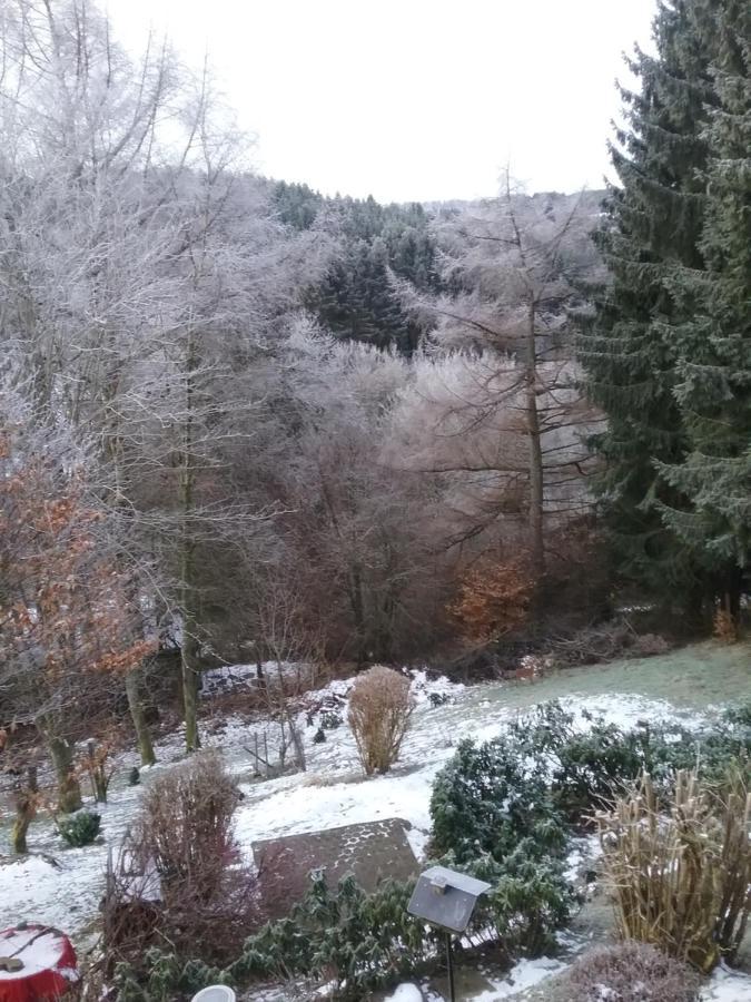 Perlenbachtal Apartamento Monschau Exterior foto