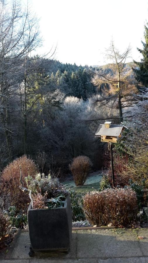 Perlenbachtal Apartamento Monschau Exterior foto
