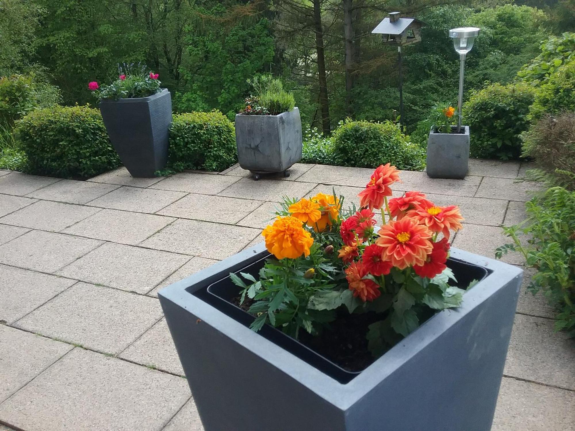 Perlenbachtal Apartamento Monschau Exterior foto