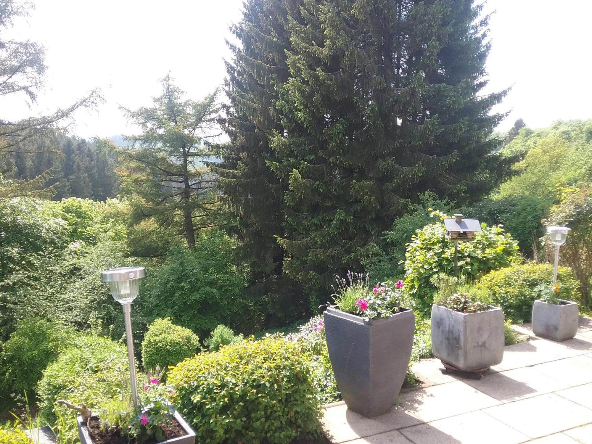 Perlenbachtal Apartamento Monschau Exterior foto