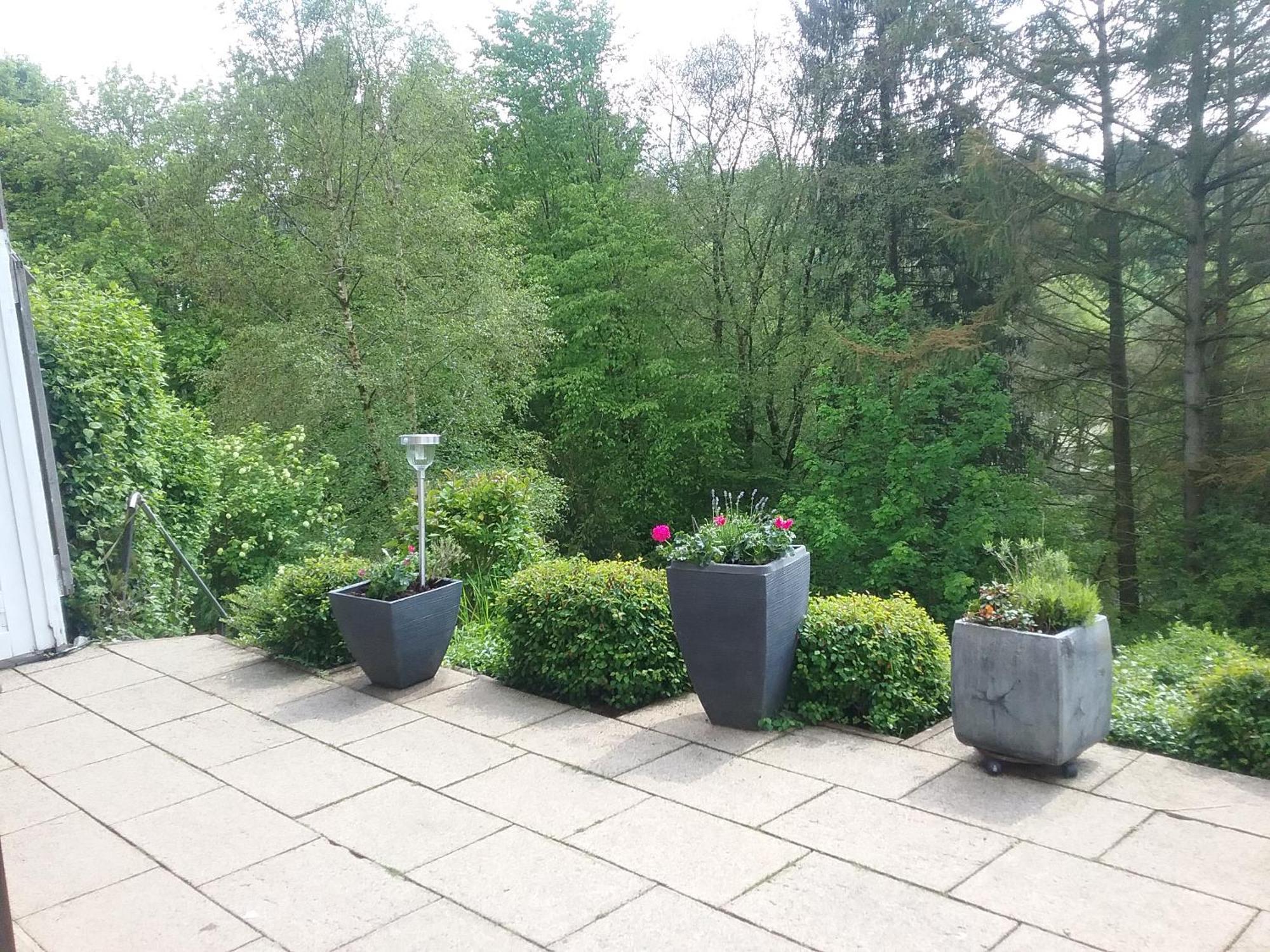Perlenbachtal Apartamento Monschau Exterior foto